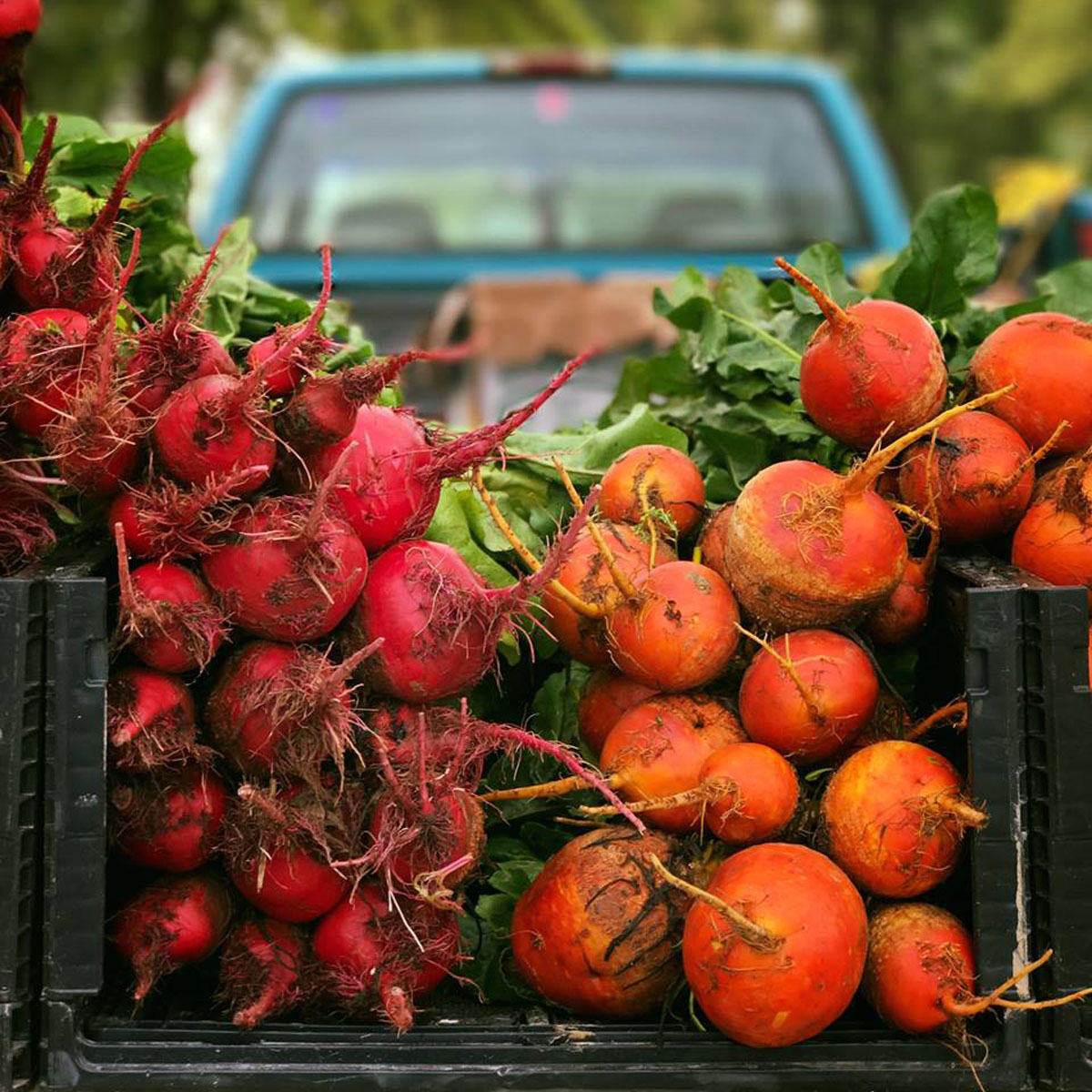 List 100+ Pictures the woodlands farmers’ market photos Full HD, 2k, 4k